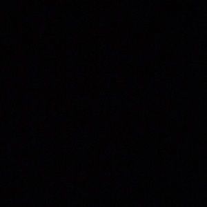 Meet your Posher, Cheyenne